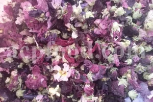 Dried hollyhocks in bulk for pharmaceutical use