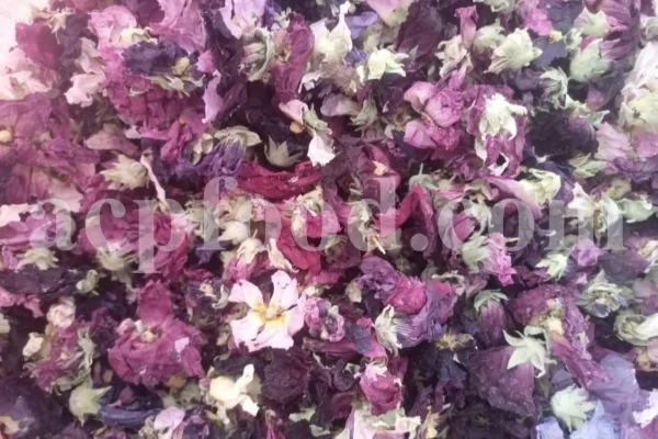High quality dried Marshmallow flowers for sale. Buy Althaea officinalis dried flowers. Hollyhocks for sale. Buy Common Hollyhock dried flowers. Marshmallow seeds for sale. Buy Hollyhocks seeds.
