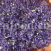 Dried Blue Mallow for sale. Buy dried Blue Mallow flowers. Buy Mallow. Mallow Buy. Bulk Malva sylvestris zebrina flowers. Mallow Malva sylvestris zebrina wholesale price. Mallow sylvestris flowers purchase. Bulk malva seed. Malva sylvestris seed for sale.