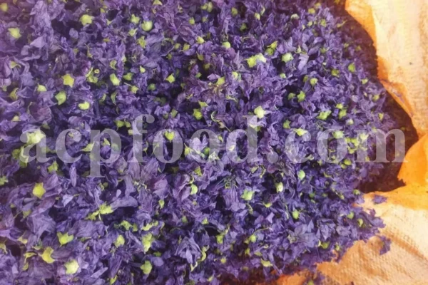 Dried Blue Mallow for sale. Buy dried Blue Mallow flowers. Buy Mallow. Mallow Buy. Bulk Malva sylvestris zebrina flowers. Mallow Malva sylvestris zebrina wholesale price. Mallow sylvestris flowers purchase. Bulk malva seed. Malva sylvestris seed for sale.