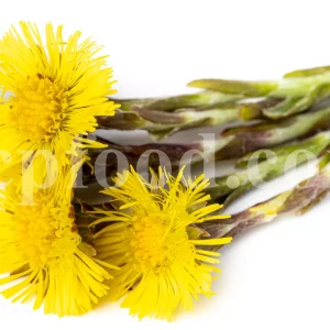 Dried Coltsfoot for sale. Coltsfoot herb wholesale price. Buy Coltsfoot. Coltsfoot for sale. Bulk Coltsfoot leaves. Tussilago farfara leaves purchase.