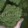 Dried Dill for sale. Buy dried Dill. Dried Dill weed wholesale price. Air dry Dill purchase. Best dried Dill weed. Dill seed for sale. Buy Dill seeds.