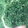 Dried Dill for sale. Buy dried Dill. Dried Dill weed wholesale price. Air dry Dill purchase. Best dried Dill weed. Dill seed for sale. Buy Dill seeds.