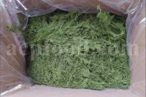 Dried Dill for sale. Buy dried Dill. Dried Dill weed wholesale price. Air dry Dill purchase. Best dried Dill weed. Dill seed for sale. Buy Dill seeds.