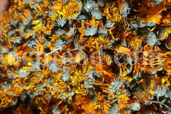 Buy Calendula. Calendula for sale. Bulk dried Calendula petals. Dried Marigold wholesale price. Calendula flowers dried bulk. Calendula officinalis price. Calendula officinalis orange king for sale.