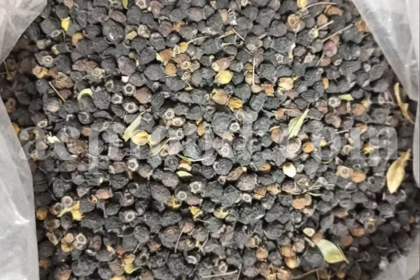 Dried Myrtle leaves for sale. Myrtle leaves purchase. Leaf Myrtle buy. Bulk Mirto leaves. Myrtle leaf tea wholesale price.
