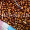 Russian Olives for sale. Elaeagnus angustifolia for sale. Buy Russian Olive. Buy Senjed. Bulk dried Oleaster for sale.