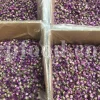 The best quality Rosa damascena buds for sale. Damascena Rose wholesale price. Buy Damascina Rose. Bulk Rosa Damask buds and petals. Wholesale R Damascena. Damask Rose purchase.