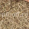 High Quality Yellow Sweet Clover dried fruits for sale. Buy dried Sweet Clover. Bulk Melilotus officinalis. Common Melilot dried fruits purchase.