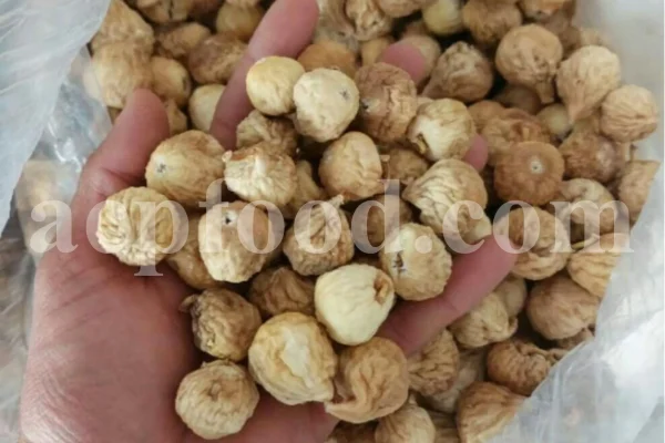 Hand holding a dried fig showing size and texture