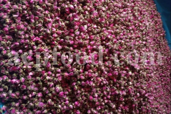 The best quality Rosa damascena buds for sale. Damascena Rose wholesale price. Buy Damascina Rose. Bulk Rosa Damask buds and petals. Wholesale R Damascena. Damask Rose purchase.
