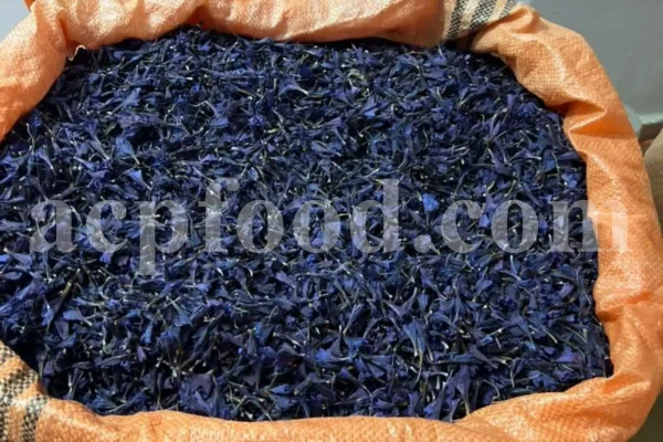 Bulk Echium amoenum for Sale. Buy Persian Borage. Buy Iranian Bugloss with the Best Price. Gol Gav Zaban wholesale price. Bulk Echium amoenum Red Feathers. Borage leaves for sale.