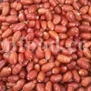 Russian Olives for sale. Elaeagnus angustifolia for sale. Buy Russian Olive. Buy Senjed. Bulk dried Oleaster for sale.