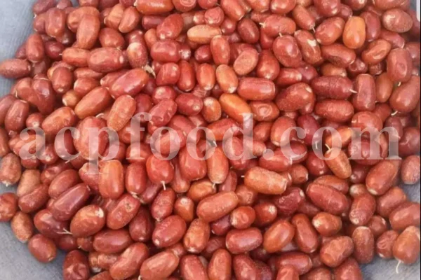 Russian Olives for sale. Elaeagnus angustifolia for sale. Buy Russian Olive. Buy Senjed. Bulk dried Oleaster for sale.