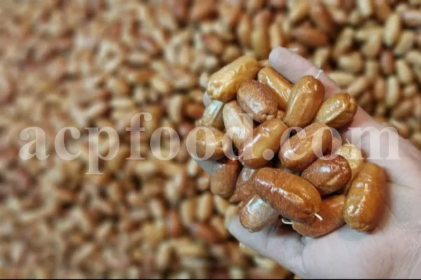 Russian Olives for sale. Elaeagnus angustifolia for sale. Buy Russian Olive. Buy Senjed. Bulk dried Oleaster for sale.