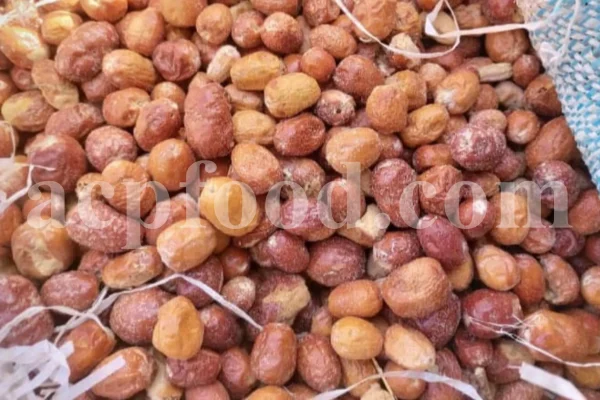 Russian Olives for sale. Elaeagnus angustifolia for sale. Buy Russian Olive. Buy Senjed. Bulk dried Oleaster for sale.