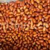 Russian Olives for sale. Elaeagnus angustifolia for sale. Buy Russian Olive. Buy Senjed. Bulk dried Oleaster for sale.