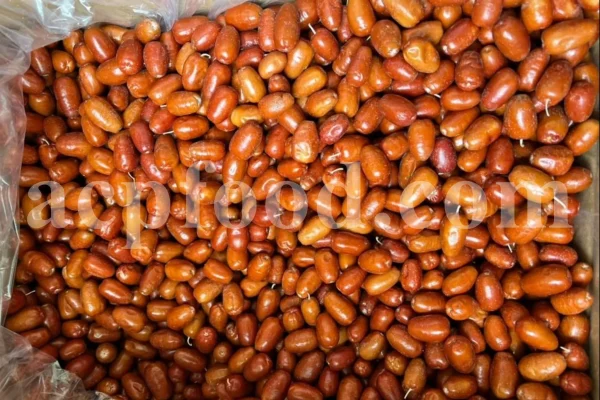 Russian Olives for sale. Elaeagnus angustifolia for sale. Buy Russian Olive. Buy Senjed. Bulk dried Oleaster for sale.