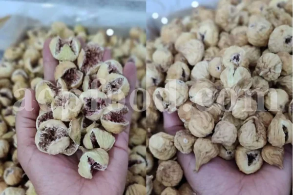 Different sizes of dried figs arranged on white background