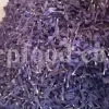 Bulk Echium amoenum for Sale. Buy Persian Borage. Buy Iranian Bugloss with the Best Price. Gol Gav Zaban wholesale price. Bulk Echium amoenum Red Feathers. Borage leaves for sale.