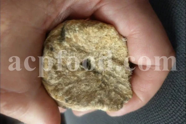 Buy Asafetida Hing. Ferula assa gum for sale. Hing wholesale price. Best quality Asafoetida. Kokh Asafetida for sale.