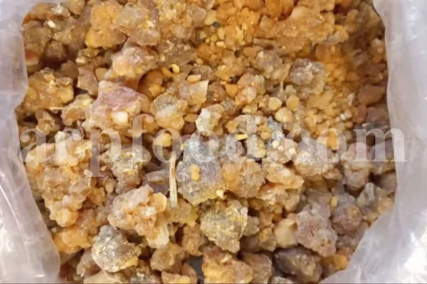 Bulk Galbanum resin for sale. Galbanum gum wholesale price. Galbanum price. Ferula galbaniflua gum in bulk. Ferula gummosa gum for sale.