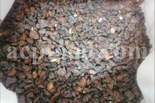 Quince seeds for sale. Bulk Bahi Dana seeds. Cydonia oblonga seeds wholesale price. Buy Quince fruit seeds. Beh Daneh purchase.