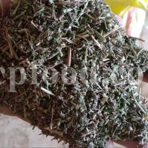 Fumaria officinalis dried leaves. Buy Fumitory. Bulk common fumitory. Fumitory herb purchase. Fumaria herb for sale. Fumitory leaves wholesale. Fumitory tea in bulk.