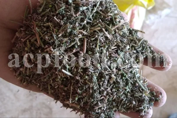 Fumaria officinalis dried leaves. Buy Fumitory. Bulk common fumitory. Fumitory herb purchase. Fumaria herb for sale. Fumitory leaves wholesale. Fumitory tea in bulk.