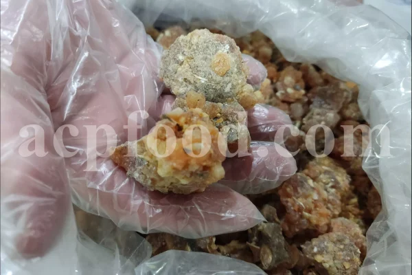 Bulk Galbanum resin for sale. Galbanum gum wholesale price. Galbanum price. Ferula galbaniflua gum in bulk. Ferula gummosa gum for sale.