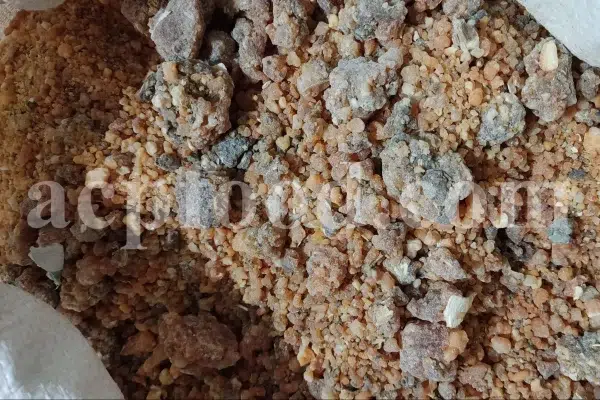 Bulk Galbanum resin for sale. Galbanum gum wholesale price. Galbanum price. Ferula galbaniflua gum in bulk. Ferula gummosa gum for sale.