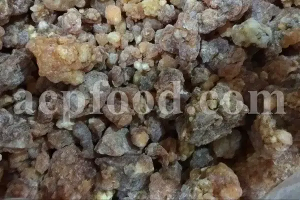 Bulk Galbanum resin for sale. Galbanum gum wholesale price. Galbanum price. Ferula galbaniflua gum in bulk. Ferula gummosa gum for sale.