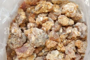 Bulk Galbanum resin for sale. Galbanum gum wholesale price. Galbanum price. Ferula galbaniflua gum in bulk. Ferula gummosa gum for sale.