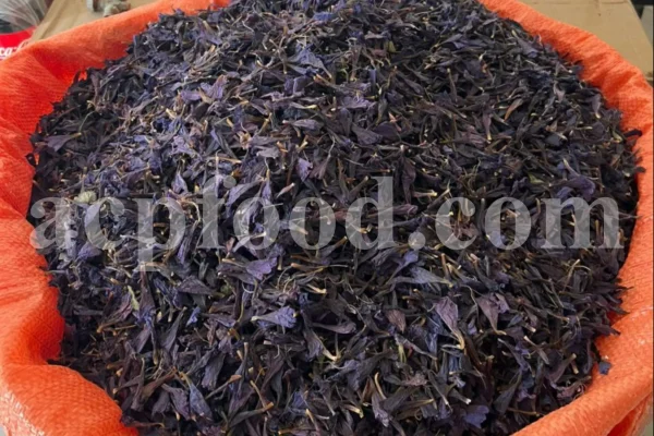 Bulk Echium amoenum for Sale. Buy Persian Borage. Buy Iranian Bugloss with the Best Price. Gol Gav Zaban wholesale price. Bulk Echium amoenum Red Feathers. Borage leaves for sale.
