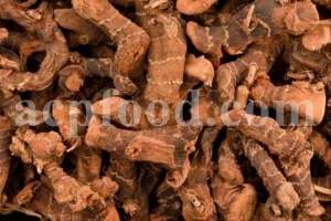 High Quality Greater Galangal Root for Sale. Bulk Alpinia galanga Root. Kulanjan root wholesale price. Khulanjan purchase.