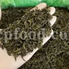 Buy Green Tea. Tea sale. Order Green Tea. Green Tea purchase. Camellia sinensis for sale. Camellia sinensis near me. Buy Green Teas.