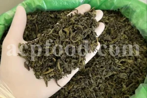 Buy Green Tea. Tea sale. Order Green Tea. Green Tea purchase. Camellia sinensis for sale. Camellia sinensis near me. Buy Green Teas.