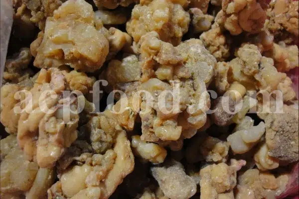 Gum ammoniac on white cloth background