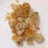 Gum Arabic for sale. Buy Gum Arabic. Bulk Gum Arabic. Acacia Senegal gum for sale. Buy Acacia Gum.