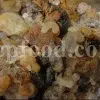 High Quality Bulk Persian Gum for sale. Gum Zedo wholesale price. Buy Zedo Gum. Cerasus avium gum for sale. Bulk Cerasus vulgaris gum. Cerasus mahleb gum wholesale price.