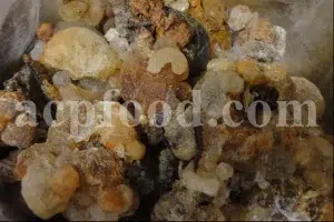 High Quality Bulk Persian Gum for sale. Gum Zedo wholesale price. Buy Zedo Gum. Cerasus avium gum for sale. Bulk Cerasus vulgaris gum. Cerasus mahleb gum wholesale price.