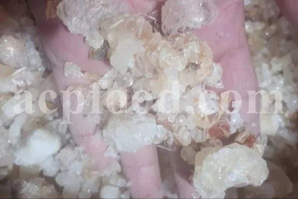 High Quality Bulk Persian Gum for sale. Gum Zedo wholesale price. Buy Zedo Gum. Cerasus avium gum for sale. Bulk Cerasus vulgaris gum. Cerasus mahleb gum wholesale price.