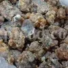 Bulk Galbanum resin for sale. Galbanum gum wholesale price. Galbanum price. Ferula galbaniflua gum in bulk. Ferula gummosa gum for sale.