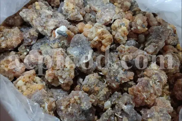 Bulk Galbanum resin for sale. Galbanum gum wholesale price. Galbanum price. Ferula galbaniflua gum in bulk. Ferula gummosa gum for sale.