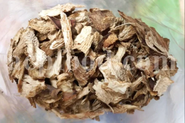 High quality Dates for sale. Buy Dates. Bulk Dates. Dry Dates wholesale price. Phoenix dactylifera fruit. Phoenix palm fruit. Dabino fruit for sale. Buy Hearts of Palm. Dry Dates 1kg price.