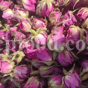 The best quality Rosa damascena buds for sale. Damascena Rose wholesale price. Buy Damascina Rose. Bulk Rosa Damask buds and petals. Wholesale R Damascena. Damask Rose purchase.