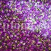 The best quality Rosa damascena buds for sale. Damascena Rose wholesale price. Buy Damascina Rose. Bulk Rosa Damask buds and petals. Wholesale R Damascena. Damask Rose purchase.