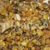 Buy Asafetida Hing. Ferula assa gum for sale. Hing wholesale price. Best quality Asafoetida. Kokh Asafetida for sale.