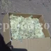 Buy Asafetida Hing. Ferula assa gum for sale. Hing wholesale price. Best quality Asafoetida. Kokh Asafetida for sale.