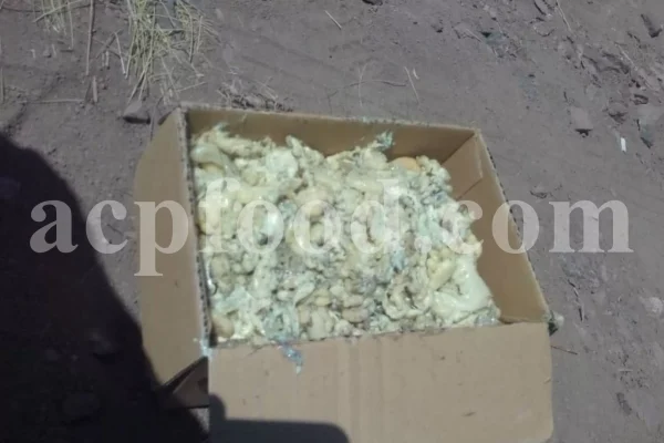 Buy Asafetida Hing. Ferula assa gum for sale. Hing wholesale price. Best quality Asafoetida. Kokh Asafetida for sale.